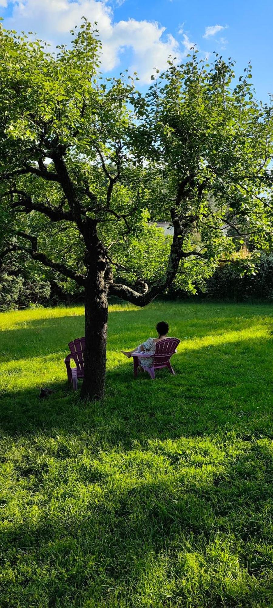 Magnanerie Le Mas D'Elise Boisset-et-Gaujac Dış mekan fotoğraf